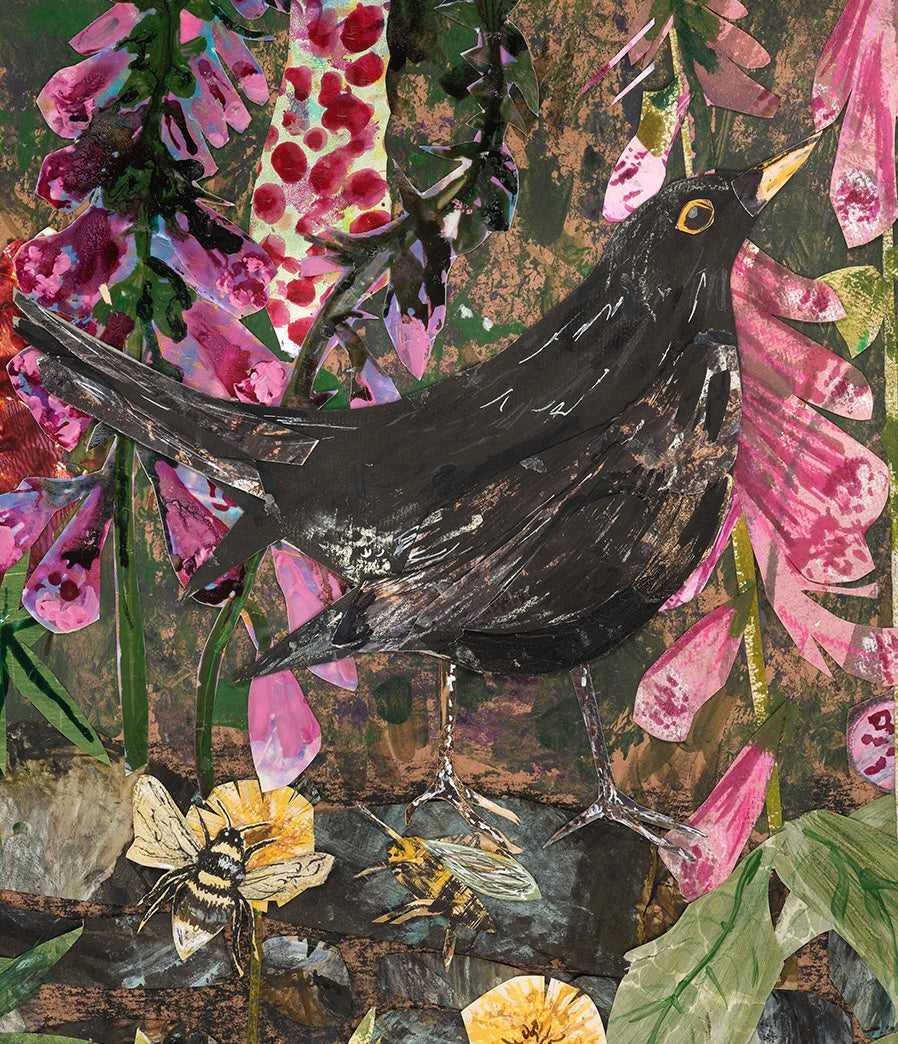 Blackbird in the foxgloves - Fine Art Giclée Print