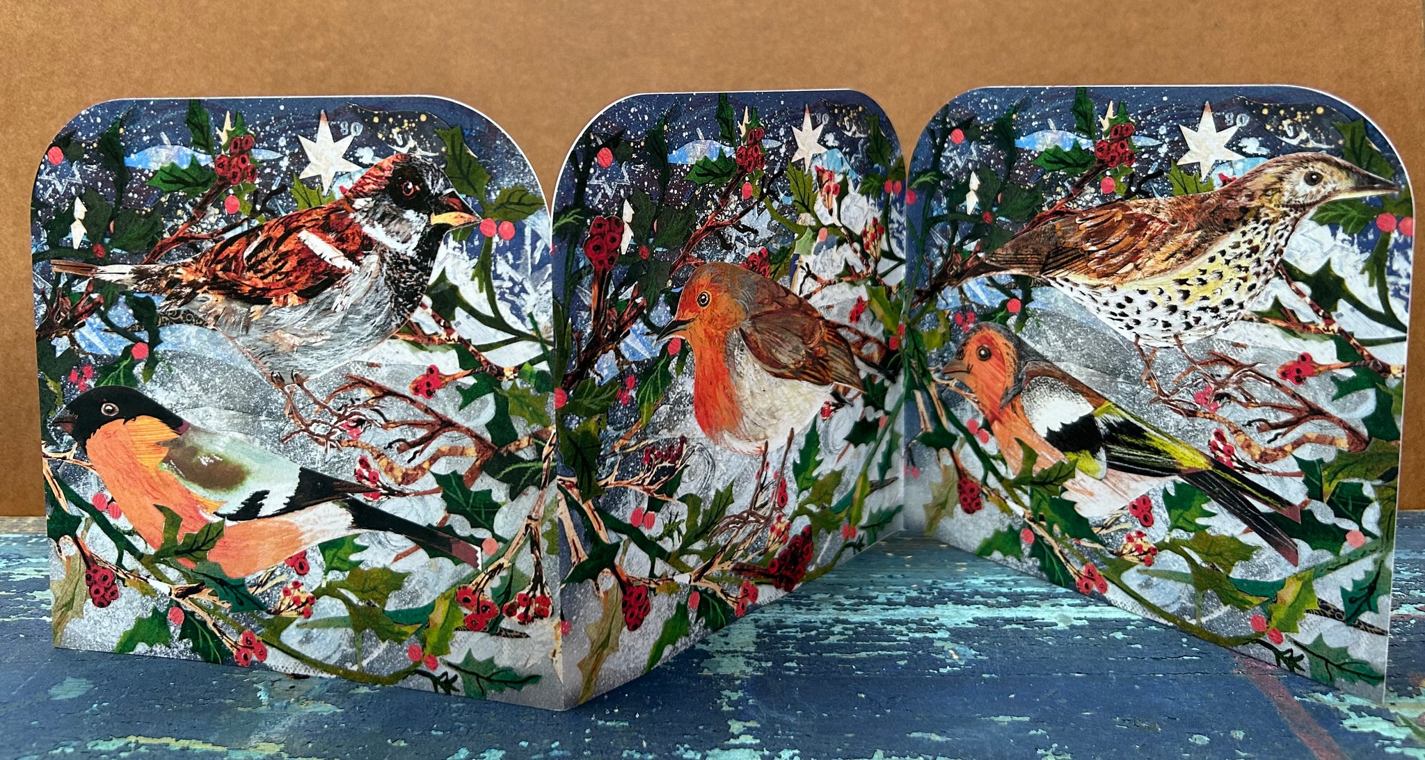Winter Birds Fold out concertina greeting card.