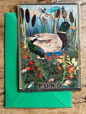 A6 Pondlife postcard