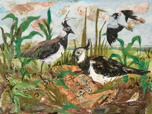 A6 Lapwing nest -Blank Greeting Card