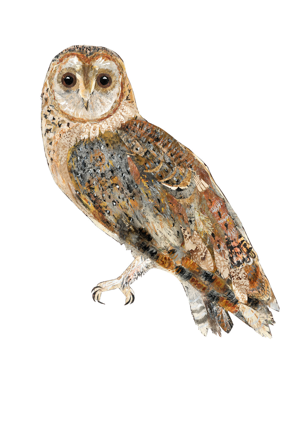 Woodland Owl - Fine Art Giclée Print