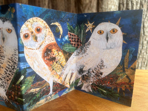 Fold out Owl concertina greeting card.