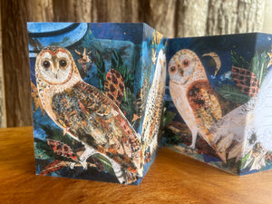 Fold out Owl concertina greeting card.