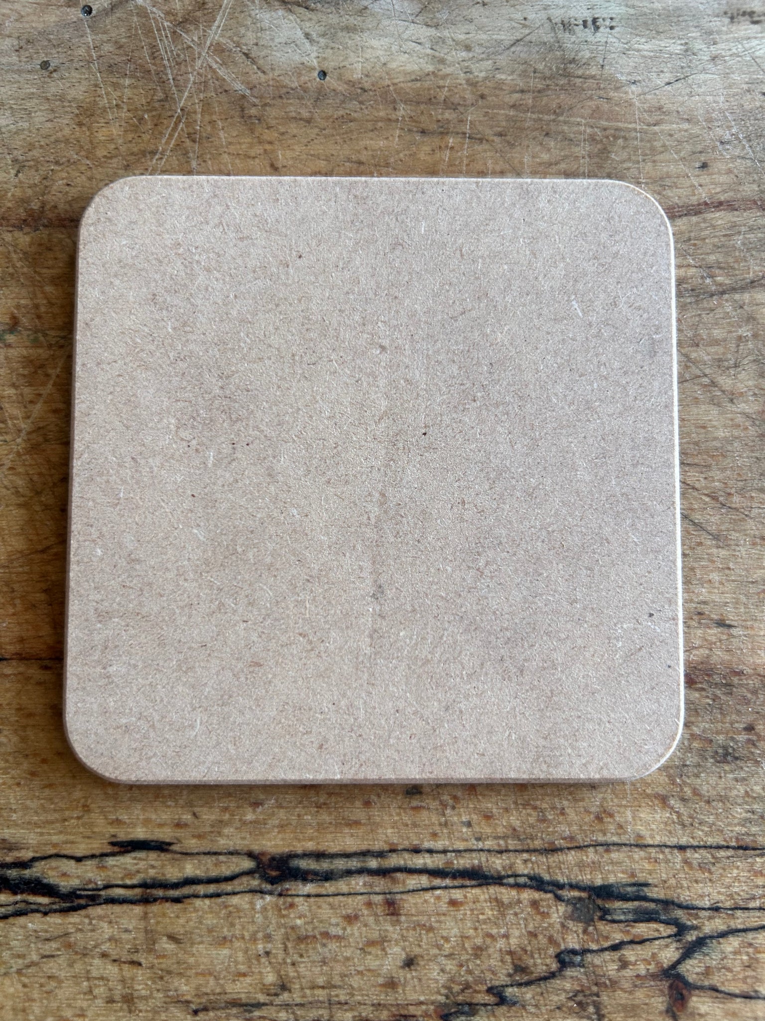 Winter Hare-High Gloss Hardback Coaster