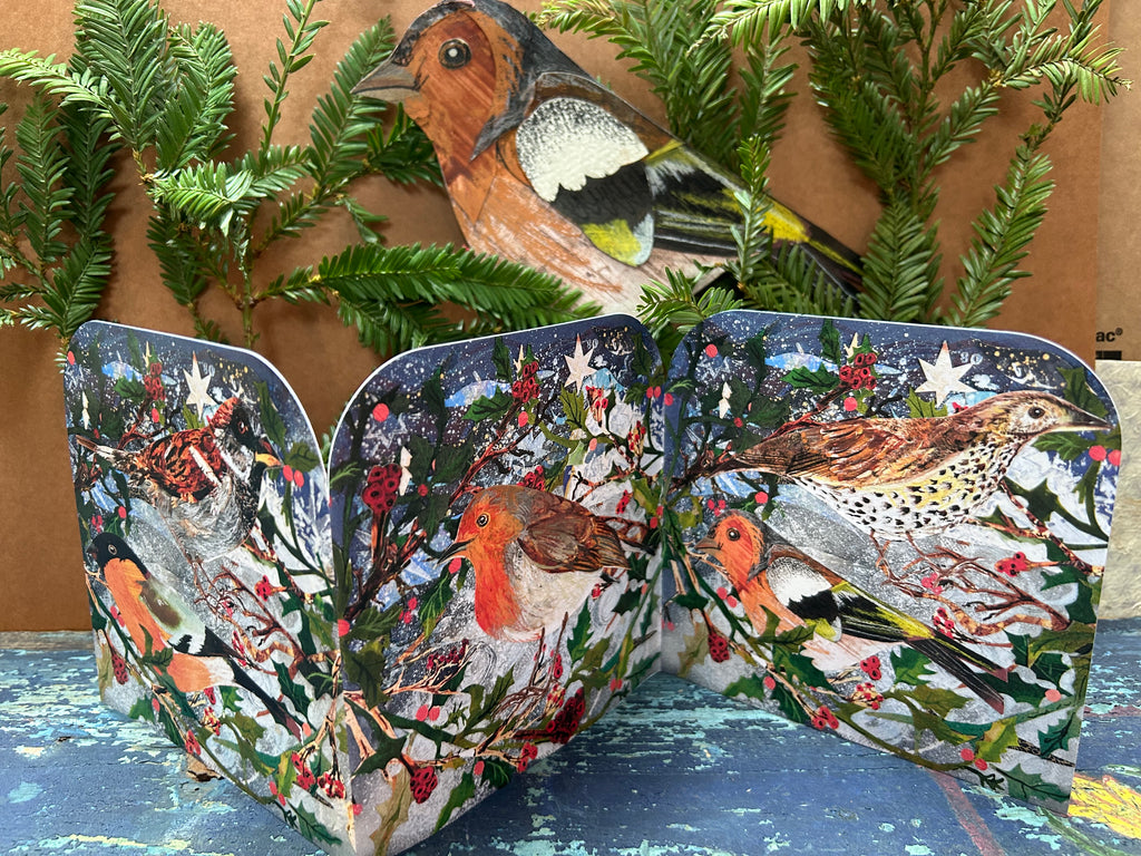 Winter Birds Fold out concertina greeting card.