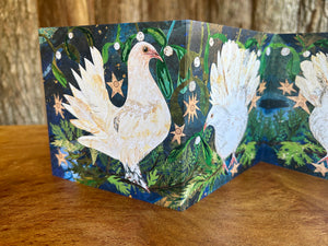 Fantail dove Fold out concertina greeting card.