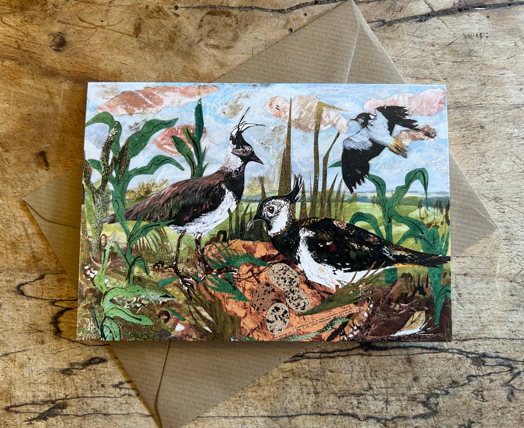 A6 Lapwing nest -Blank Greeting Card
