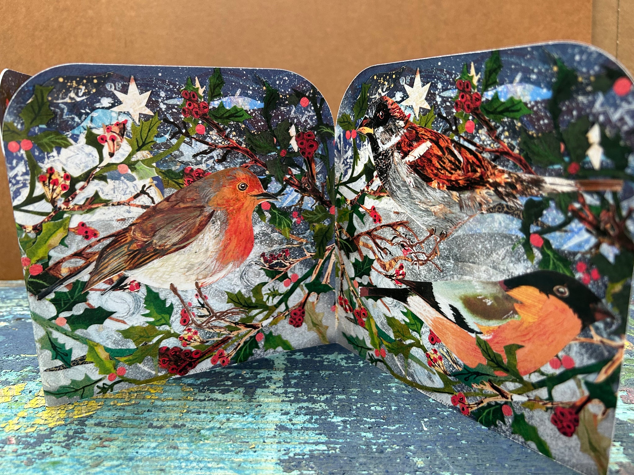 Winter Birds Fold out concertina greeting card.