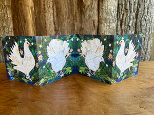 Fantail dove Fold out concertina greeting card.