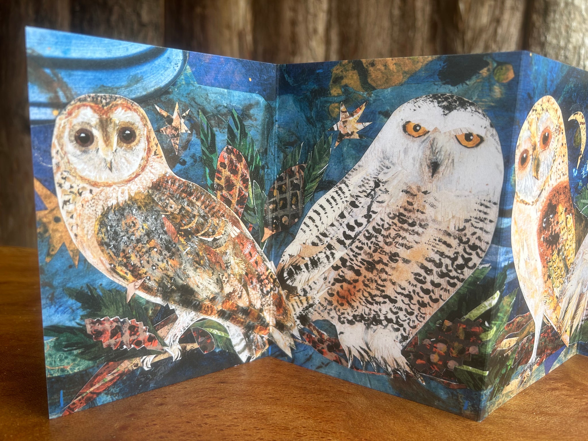 Fold out Owl concertina greeting card.