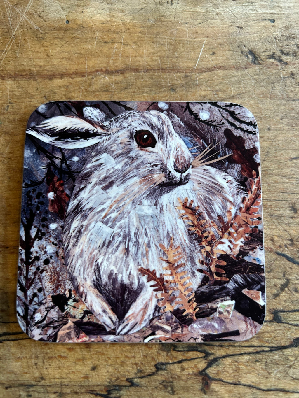 Winter Hare-High Gloss Hardback Coaster