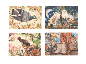 Fantastic feathers set of 8 postcards and envelopes