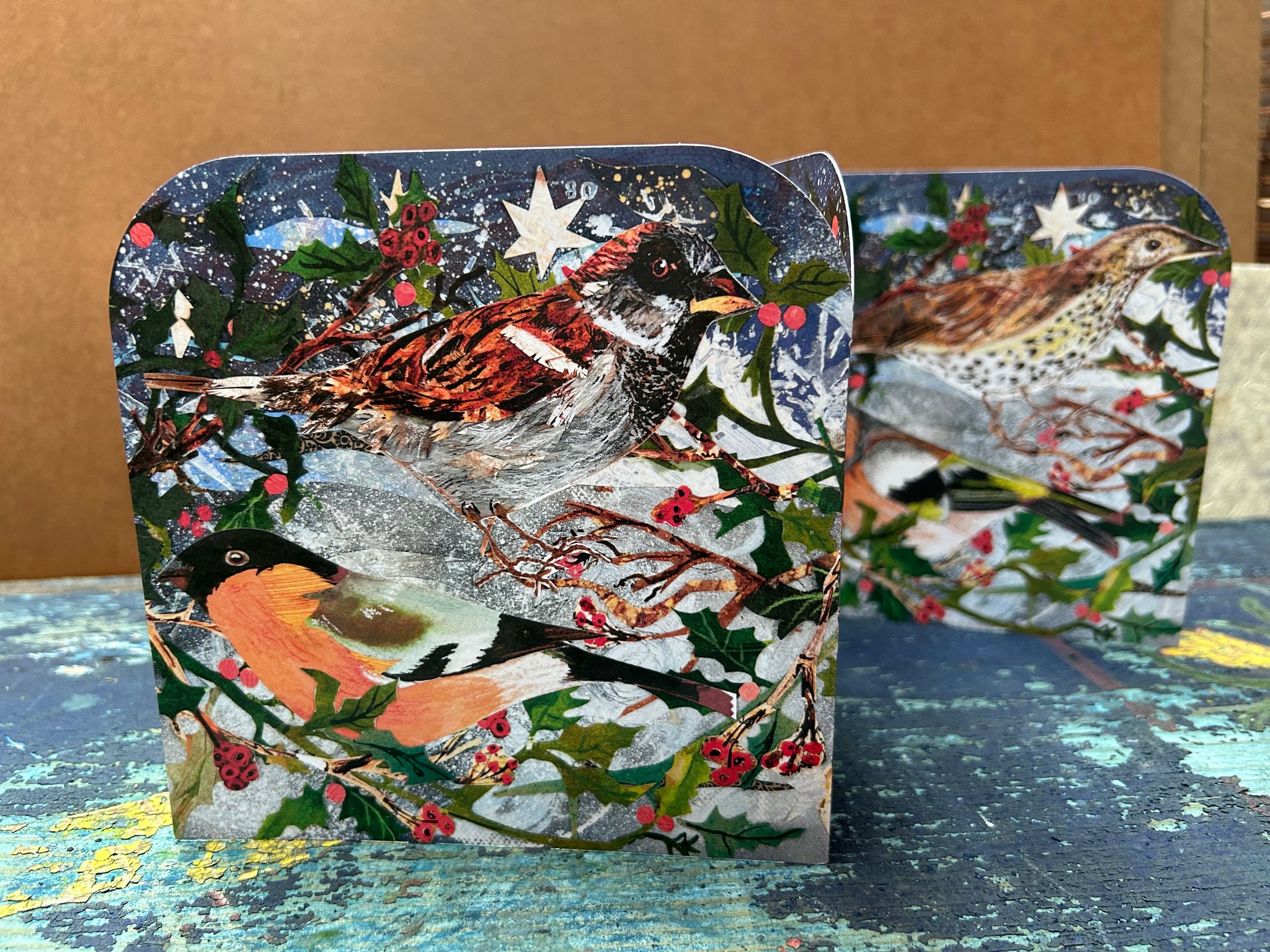 Winter Birds Fold out concertina greeting card.