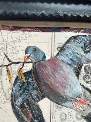 Catkin Pigeon- Framed Fine art giclèe print.