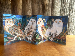 Fold out Owl concertina greeting card.