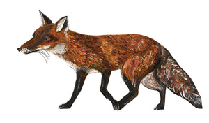 Cunning Fox -Fine Art Giclée Print