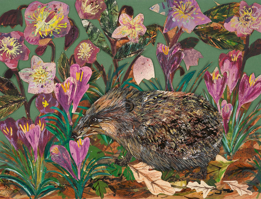 Hedgehog in the Hellebores-Fine Art Giclée Print