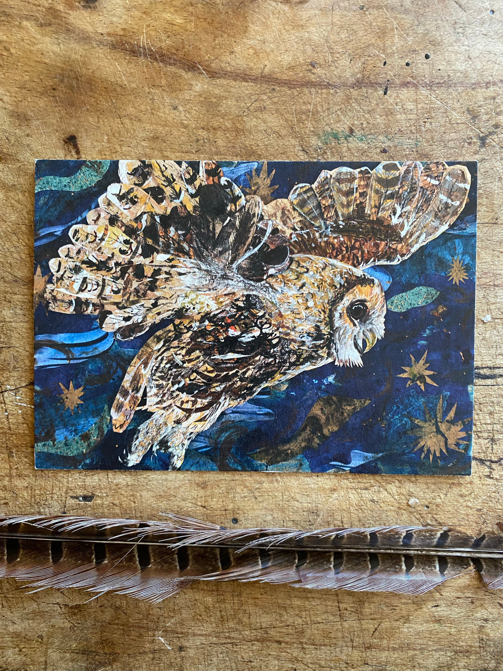 A6 Night Owl postcard