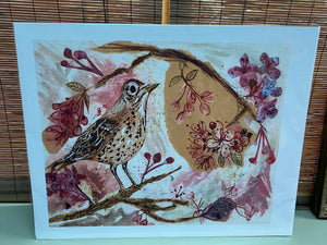 Song Thrush in the Cherry Blossom  Fine Art Giclée Print