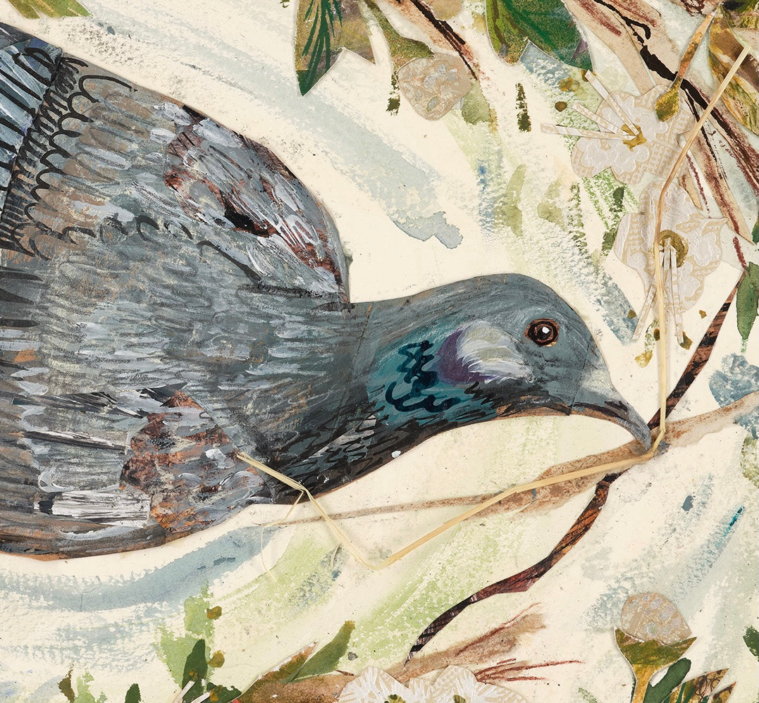 Pigeon in the blossom - Fine Art Giclée Print