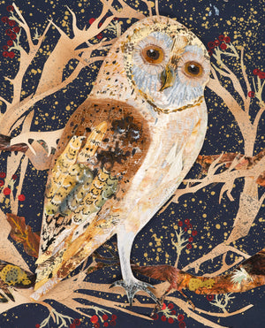 Winter Owl- Fine Art Giclée Print