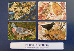 Fantastic feathers set of 8 postcards and envelopes