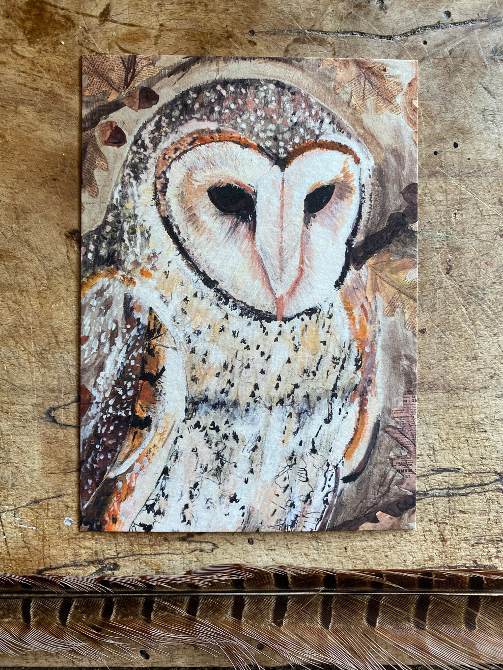 A6 Barn Owl postcard