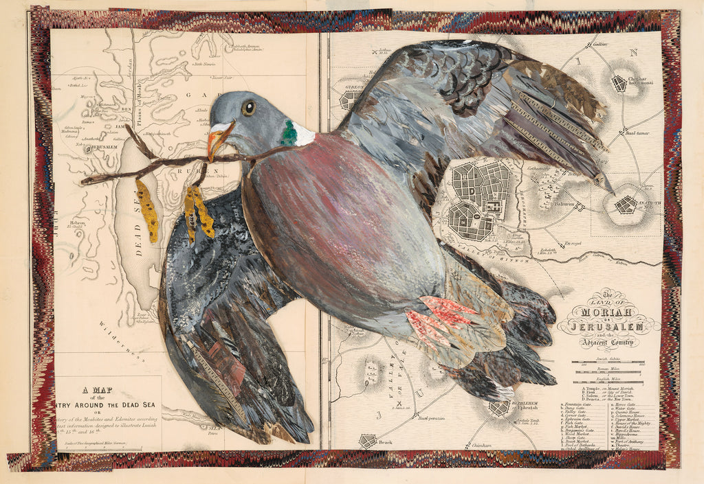 A3 Wood pigeon art print