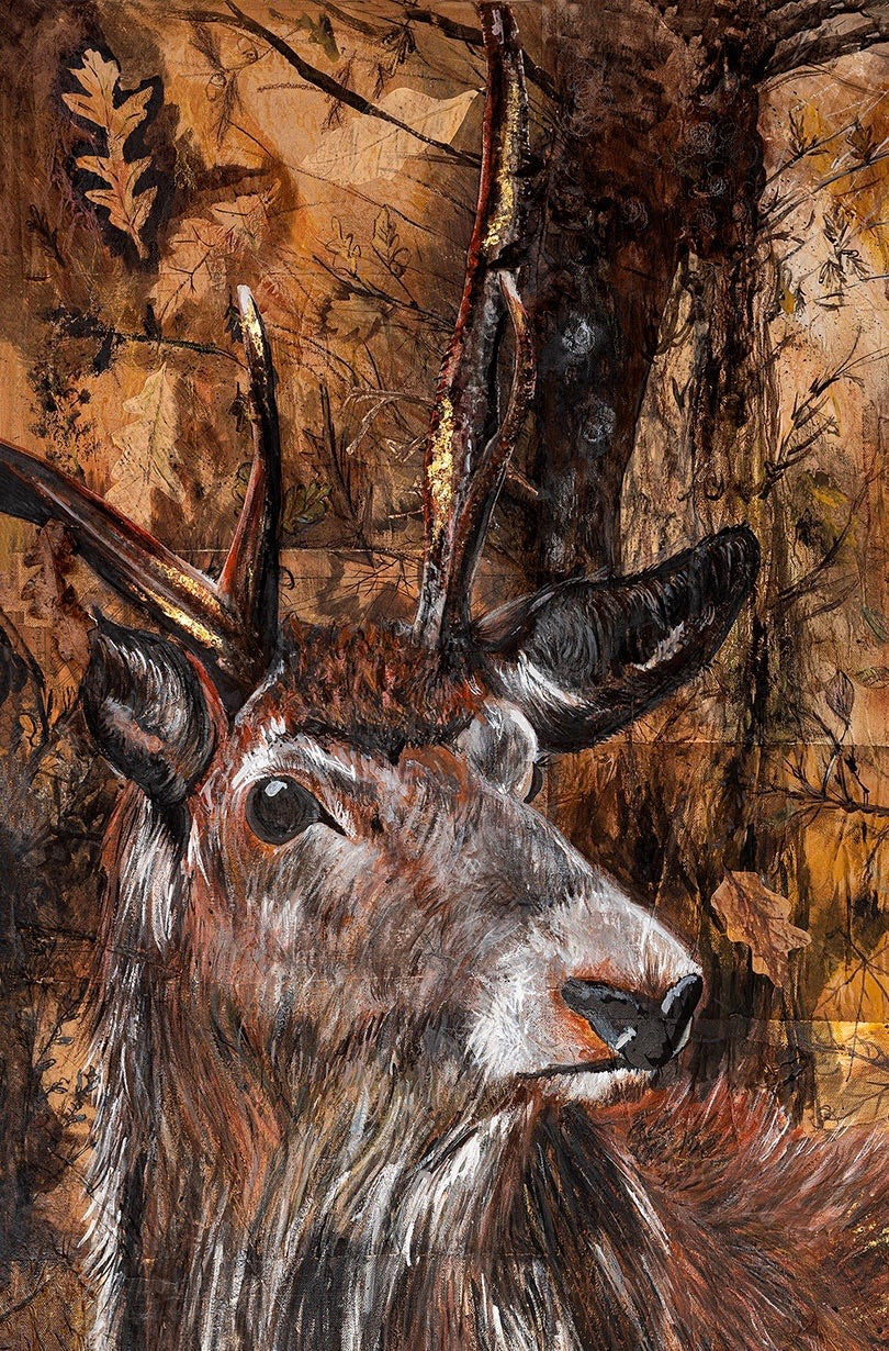 “Autumn Stag” - Fine Art Giclée Print