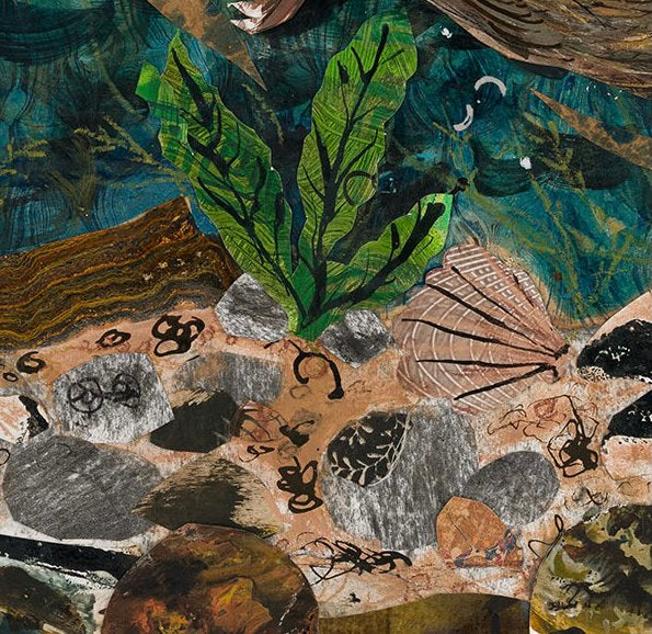 Otter in the seaweed - Fine Art Giclée Print