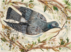 A3 Pigeon in the blossom art print