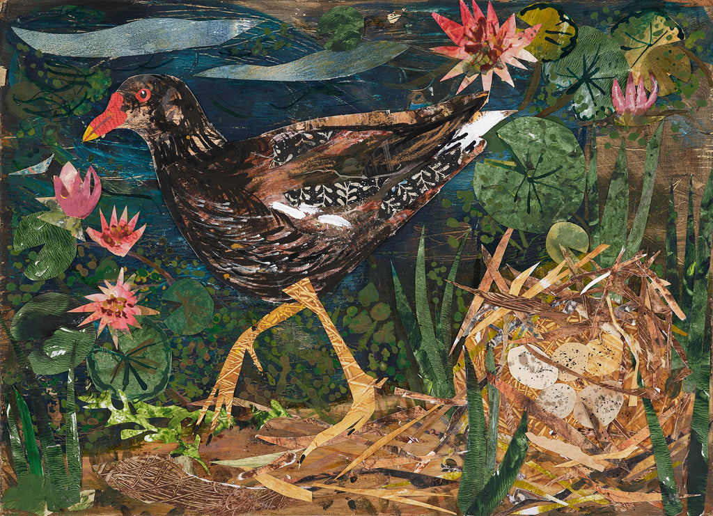 Moorhen nest- Fine Art Giclée Print