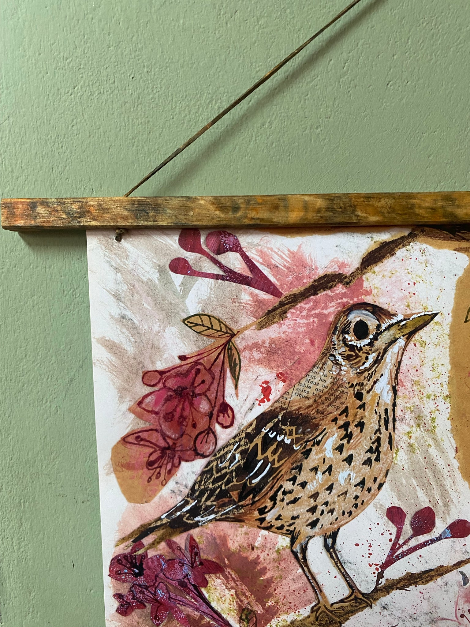 A3 Song thrush in the Cherry blossom art print