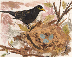 A5 Blackbird Nest-Blank Greeting card.