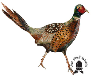 Spring Pheasant- Fine Art Giclée Print
