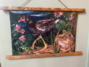 A3 Moorhen nest art print