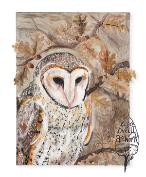 Barn Owl - Fine Art Giclée Print