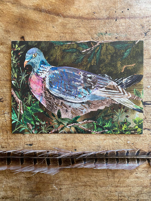 A6 Wood pigeon in the Ivy berries postcard