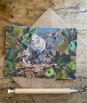 A6 Apple tree nest postcard