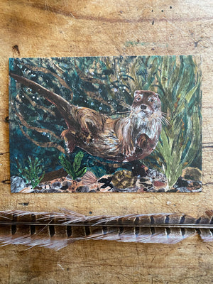 A6 Otter in the seaweed postcard