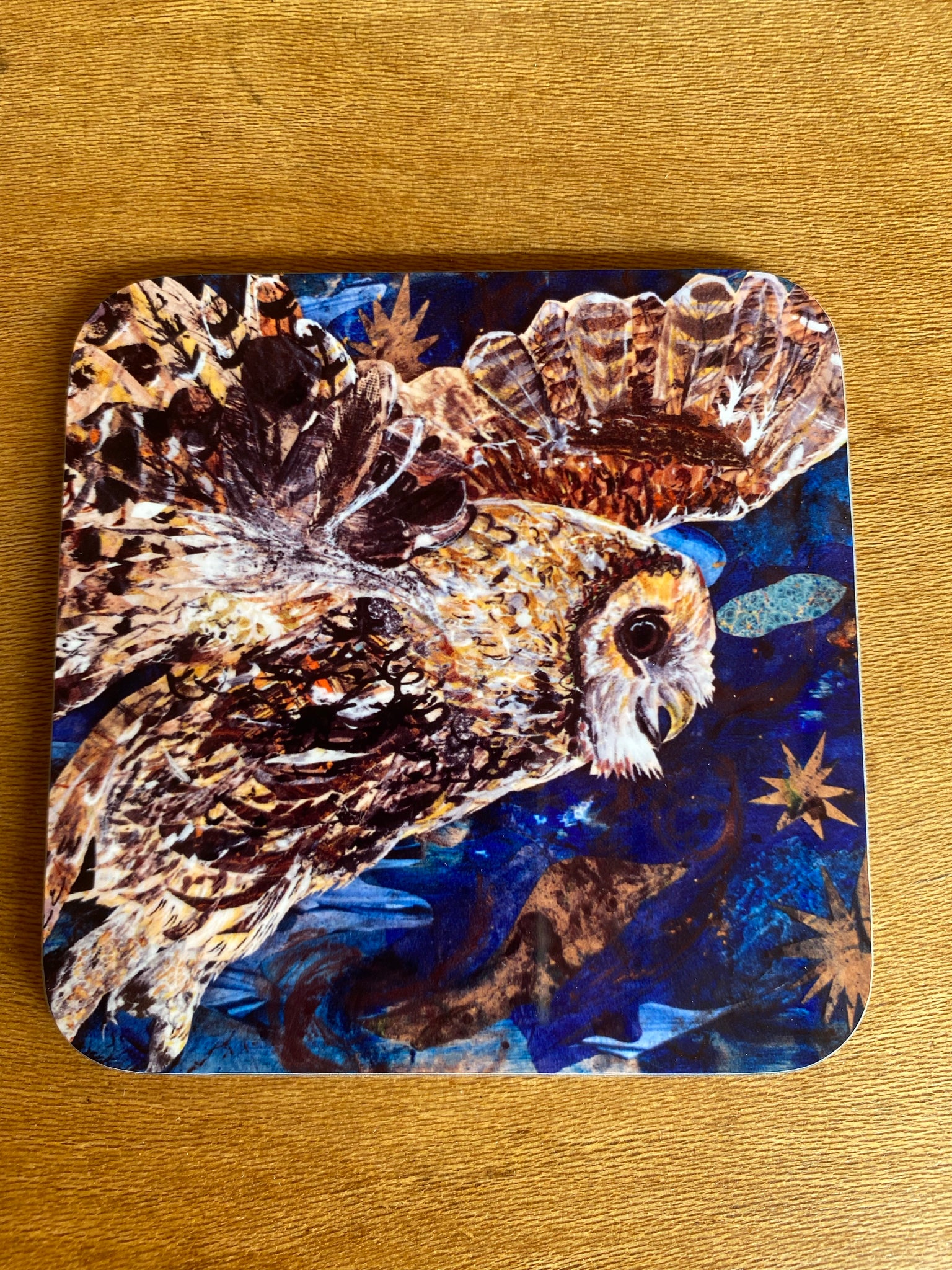 Night owl- High Gloss Hardback Coaster