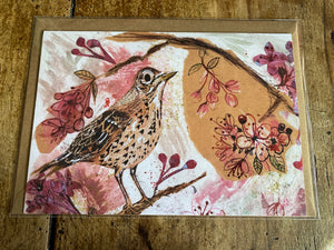 A5 Song Thrush in the cherry blossom-Blank Greeting card.